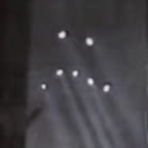 Meet your Posher, Shayleigh